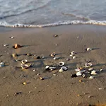 Welcoming Seaside Flat Ideal For 6 Guests Bibione