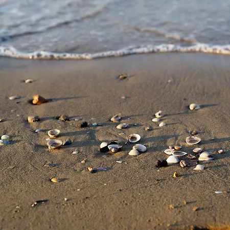 Welcoming Seaside Flat Ideal For 6 Guests Apartment Bibione